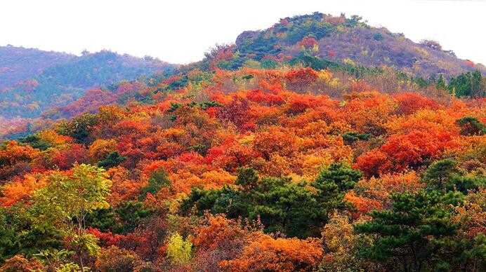 国家莽山森林公园 莽山国家森林公园